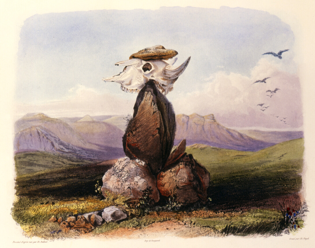 Illustration by Karl Bodmer