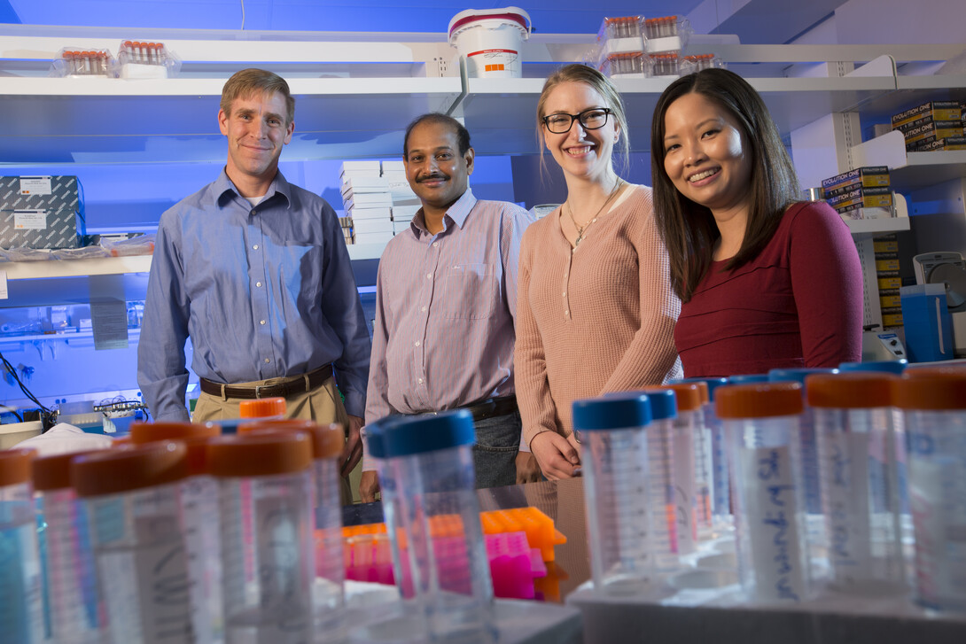 From left, UNL virologist Matthew Wiebe, assistant professor in UNL's School of Veterinary Medicine and Biomedical Science, lab tech Prasanth Thunuguntla, graduate student Annabel Olson and postdoctoral researcher Augusta Jamin.