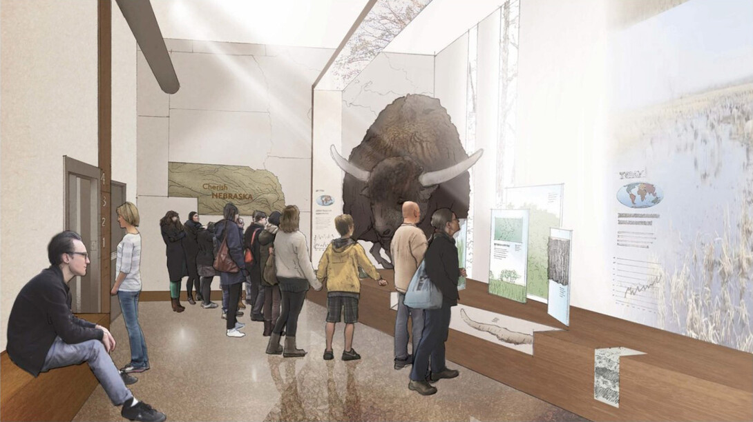 Nebraska Biodiversity of the Past exhibit