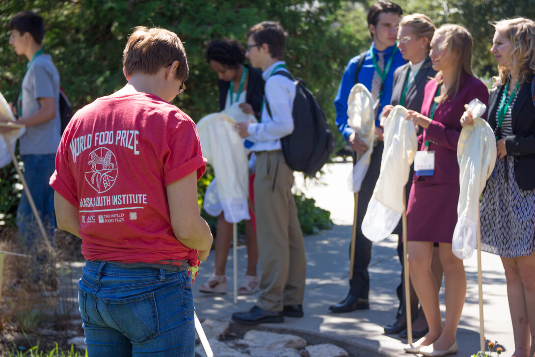 High school students participate in hands-on learning activities at UNL during the 2015 World Food Prize Nebraska Youth Institute.