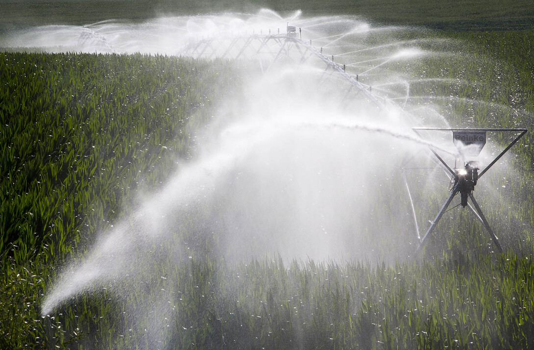 Educators and specialists from Nebraska Extension will discuss water issue that may affect farming operations at a water and crops field day at the West Central Research and Extension Center on Aug.23.