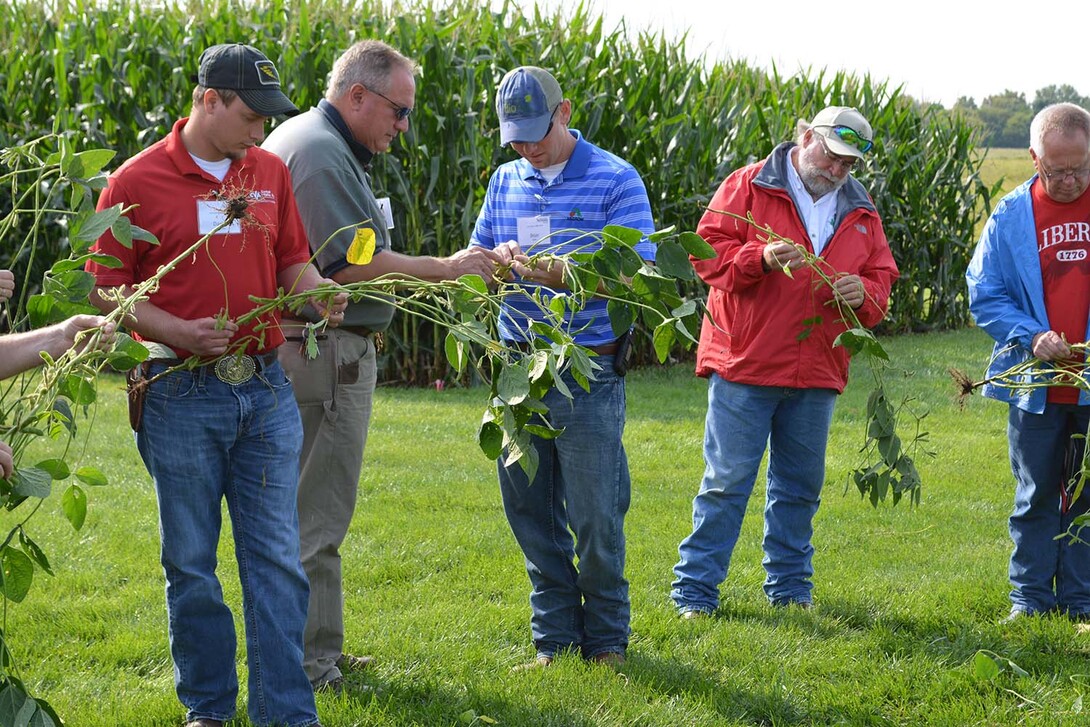 Producers analyze soybean plants at the 2015 late-season crop management diagnostic clinic.