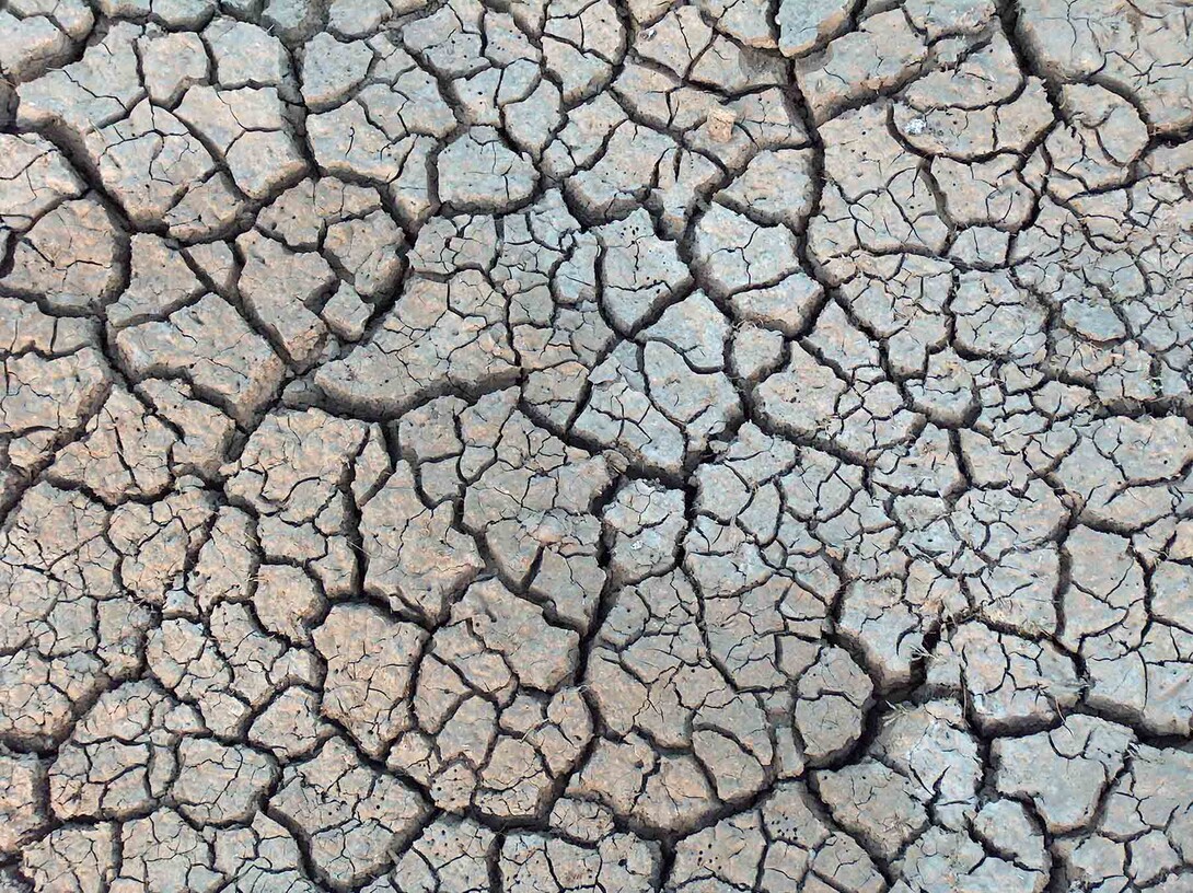 A University of Nebraska-Lincoln research team has earned a grant to create an online tool to help policymakers in making drought-related decisions.