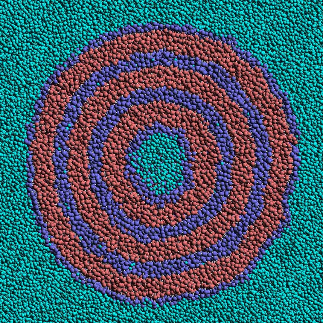 A computer-generated cross-section of a nanoscopic "onion" that could be used to time-release therapeutic drugs in the body. Unlike their red hydrophobic counterparts, the dark-blue hydrophilic molecules are naturally attracted to the cyan water molecules.