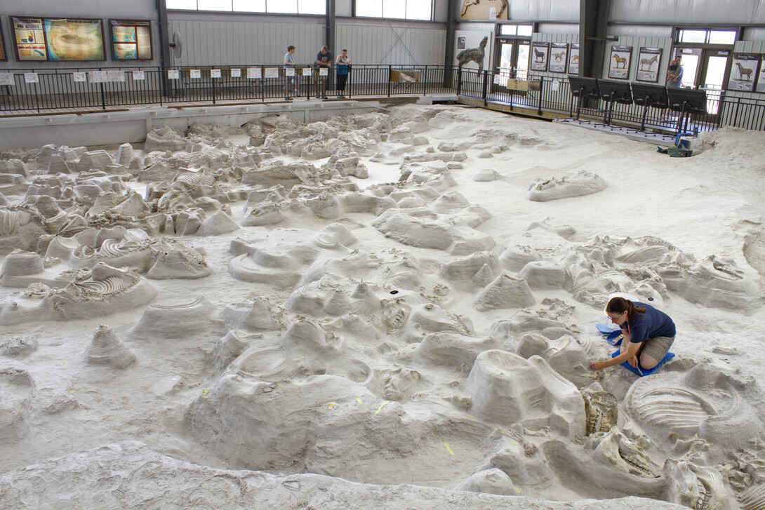 Visitors to Ashfall Fossil Beds State Historical Park can watch as paleontologists uncover new fossils in the 17,500-square-foot Hubbard Rhino Barn.