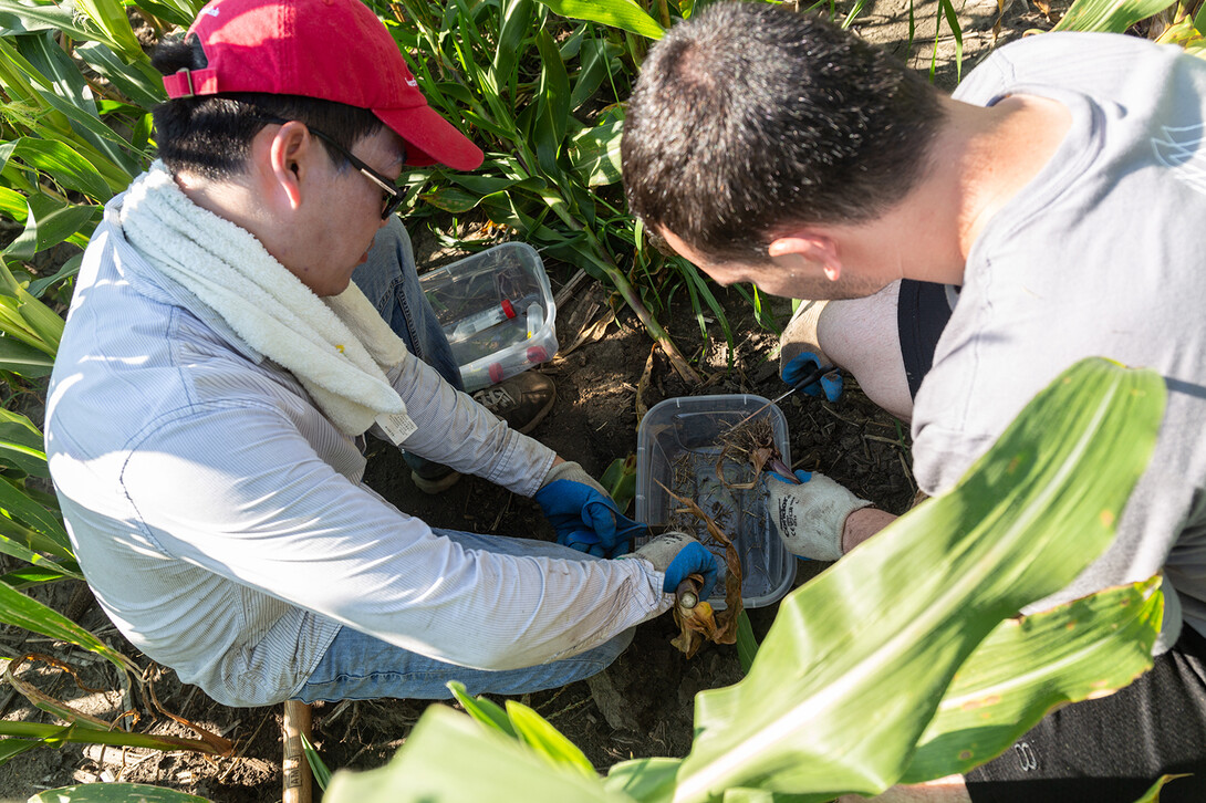 Faculty mentors engage undergraduates from across the country through the Nebraska Summer Research Program