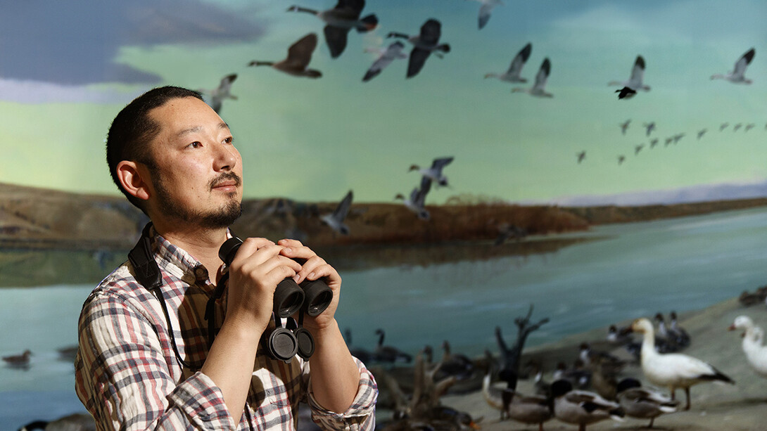 Dai Shizuka, assistant professor of biological sciences at the University of Nebraska–Lincoln, has earned a five-year, $712,500 Faculty Early Career Development award from the National Science Foundation to study how population turnover shapes social networks, network resilience and the relationship between social structure and social behavior.