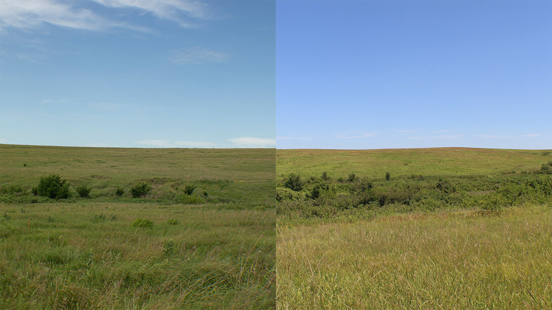 Tallgrass Prairie National Preserve (left), in extreme drought, and Spring Creek Prairie Audubon Center, under near-normal conditions. Survey participants showed no clear preference between the grassland landscapes.