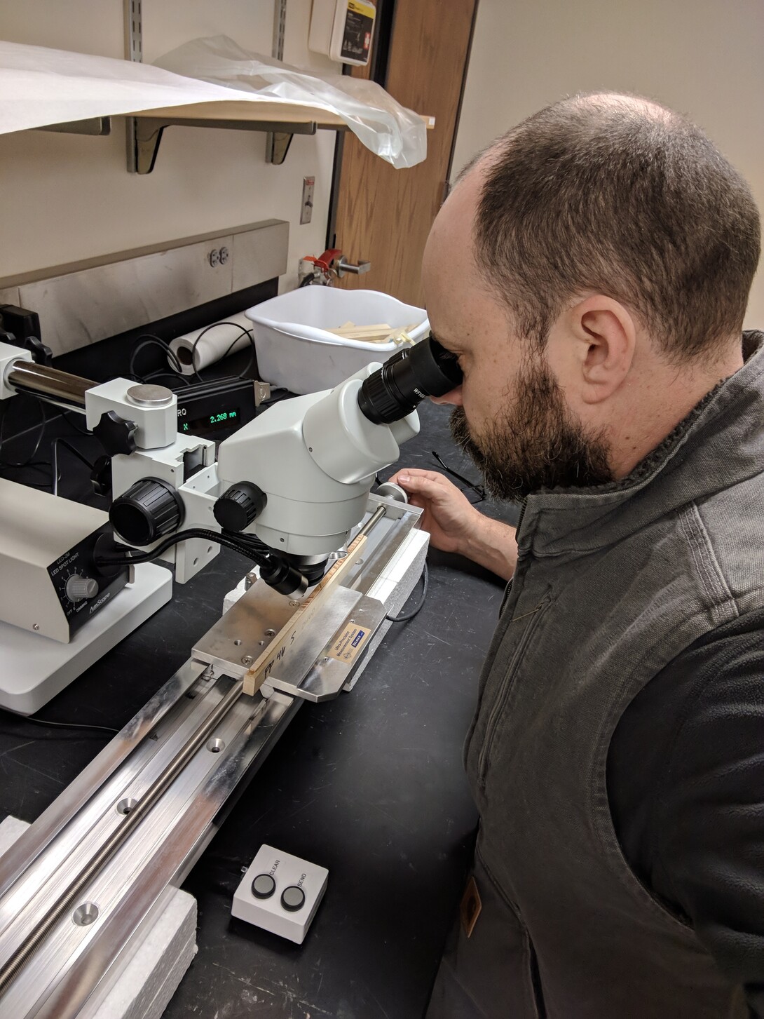Eric North, assistant professor of practice in the School of Natural Resources, examines a tree core under a microscope. North has developed two new metrics to gauge tree growth.