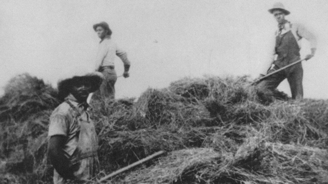 Moses Speese family in Custer County, Nebraska