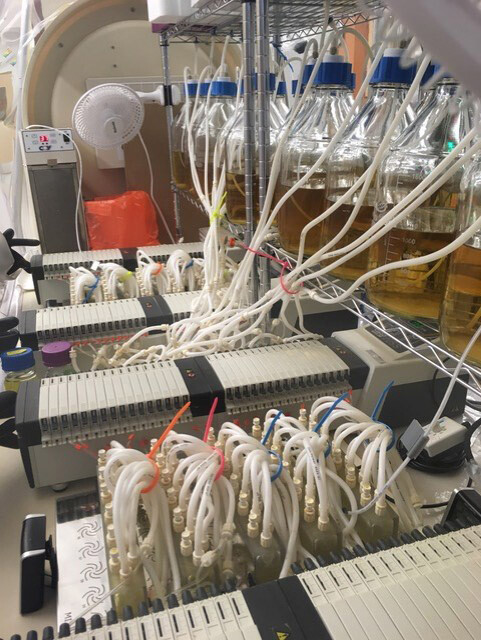 Replicate mini-bioreactor growth chambers can be used to monitor the long-term impact of milk nanoparticles on growth of C. difficile and VRE.