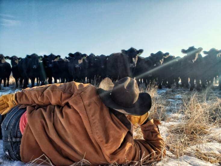 Ultimately, Wellnitz would like to return to ranching, while keeping a foot in the world of international business. “My goal eventually is to run my own business and go back to the ranch,” he said.