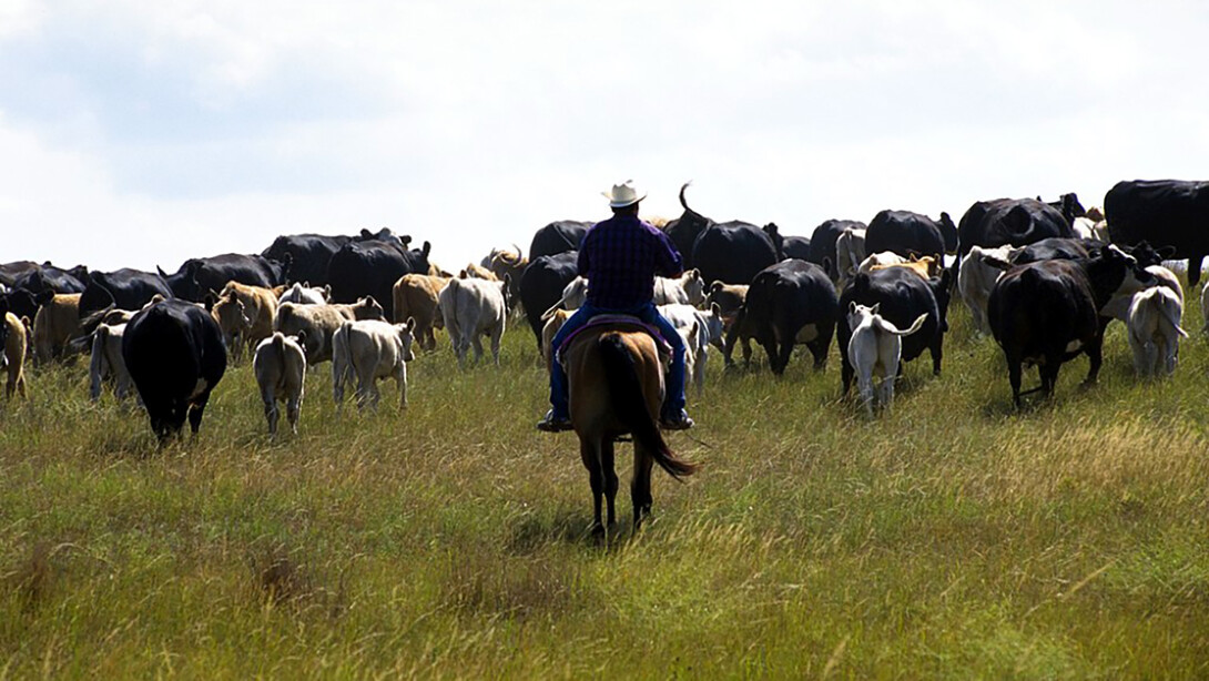 The journal Rangeland and Ecological Management recently published an article detailing the results of a survey of western South Dakota ranchers who endured a 2016 flash drought that significantly altered forage production in the area.