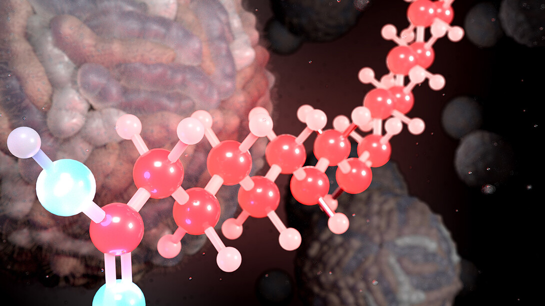 An illustration showing the molecular structure of palmitoleate, with Zika virus virions in the background.