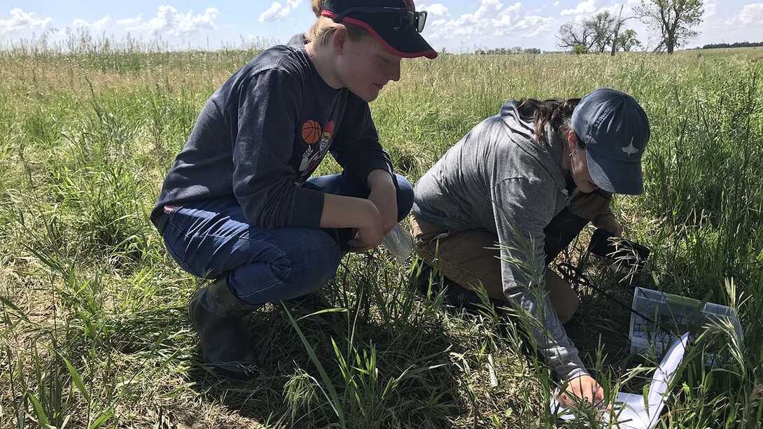 With the assistance of a grant from the Cabela’s Apprenticeship Research Project, Husker student Abigail Schoup (left) is working with a research team looking at how wastewater contamination linked to the AltEn ethanol plant near Mead has impacted frogs. She is pictured here with her adviser, Liz VanWormer, assistant professor in the School of Veterinary Medicine and Biomedical Sciences at Nebraska.