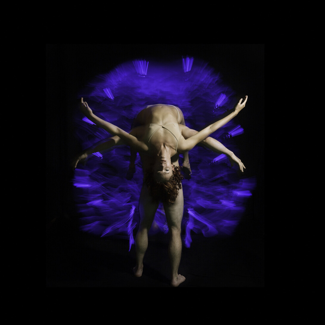 Pilobolus