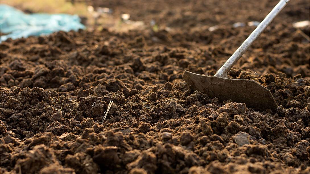 Backhoe in manure