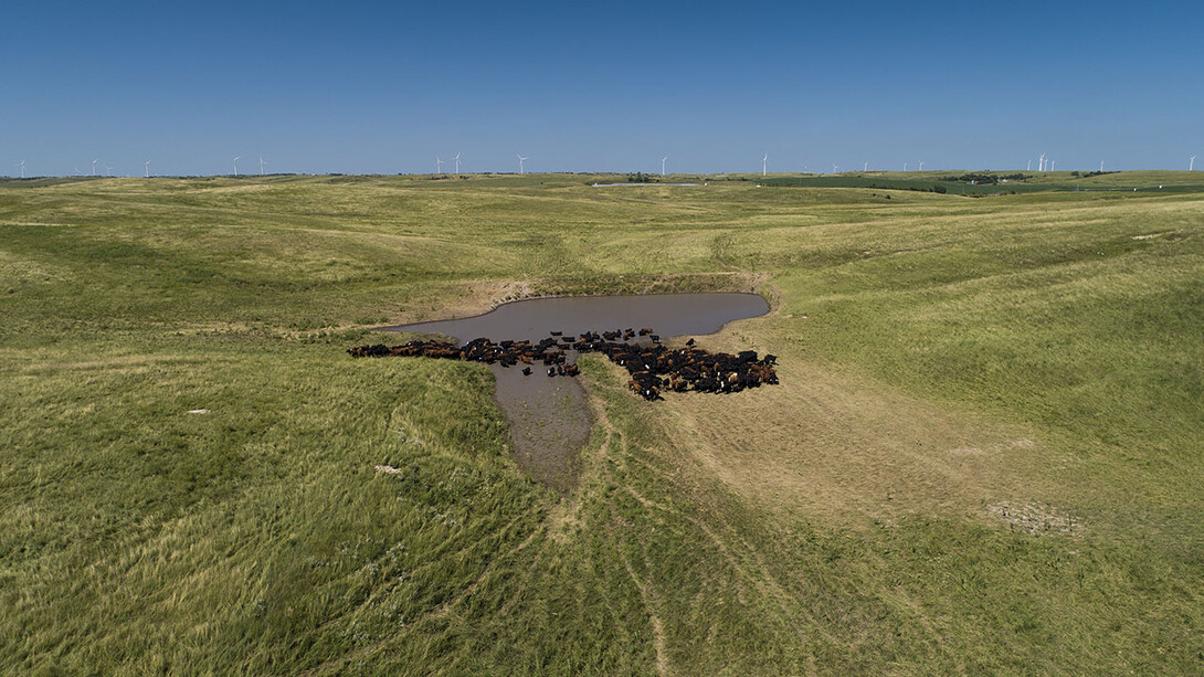 The 2021 Nebraska Farm Real Estate Market Survey revealed that current crop prices, interest rates and purchases for farm expansion contributed to higher land values, as did non-farm investor land purchases and federal farm program payments, according to respondents.