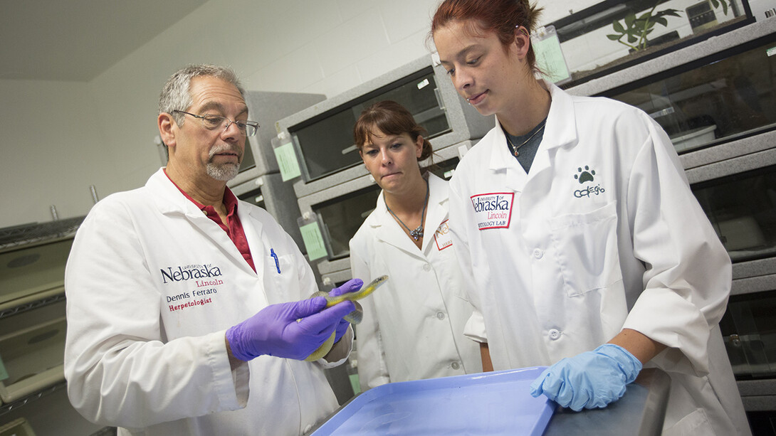 Dennis Ferraro (left), professor of practice in Nebraska’s School of Natural Resources, has won the 2021 Conservation Education Award from The Wildlife Society.