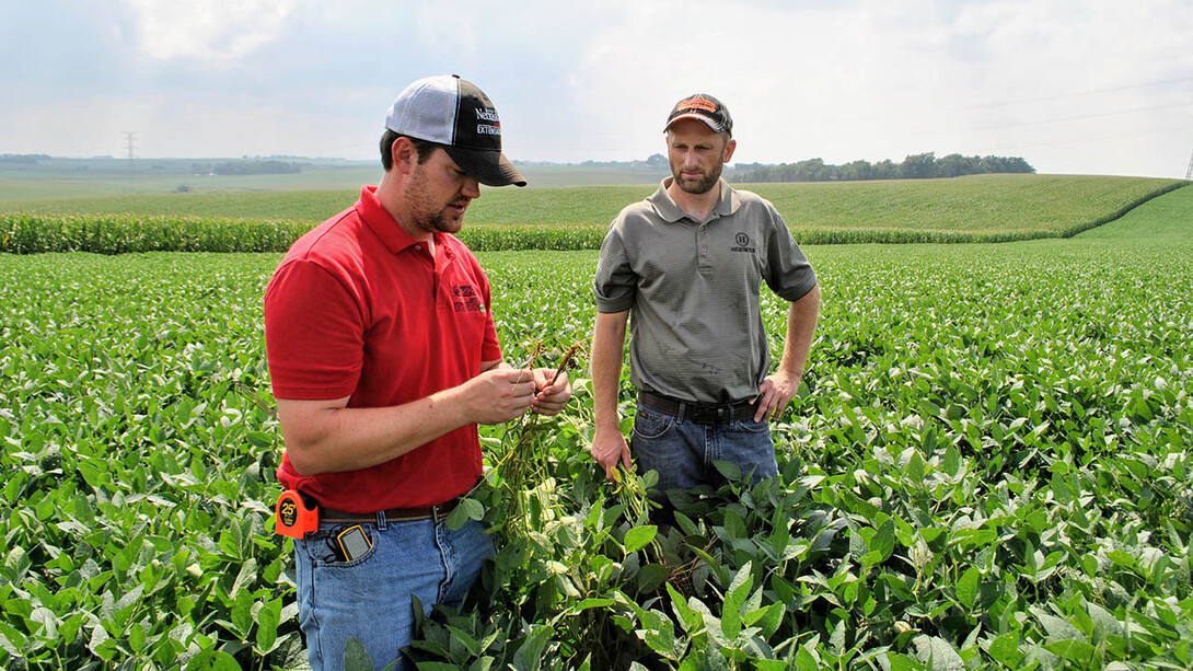 Nathan Mueller (left), Nebraska Extension educator, assesses an on-farm experiment with a producer participating in the Nebraska On-Farm Research Network.