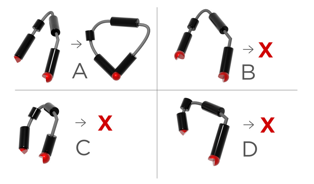 Joseph Yesselman will use mutational correlated chemical mapping to generate data about which motifs are able to form tertiary contacts. As shown in (A) above, some motifs have this capacity, but the majority do not, as in (B). Currently, there are no rules to determine which are capable of tertiary contacts. Even when motifs are able to form tertiary contacts, the RNA strand must be able to conform into a shape that brings the two motifs together. In (C), the RNA’s helices, shown in black, ar