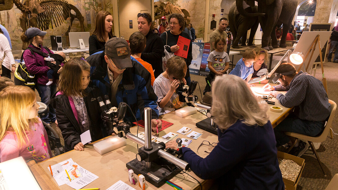 Children examine specimens under microscopes during a previous Dinosaurs and Disasters event.