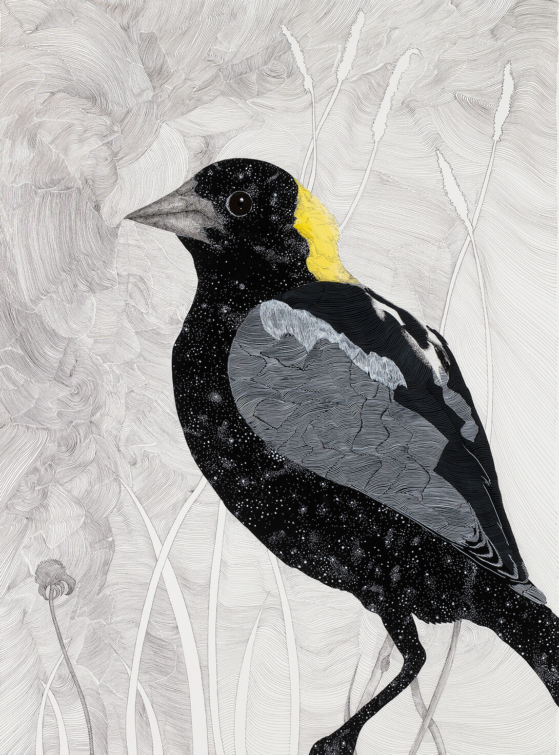 Painting of bobolink on gray, swirly background