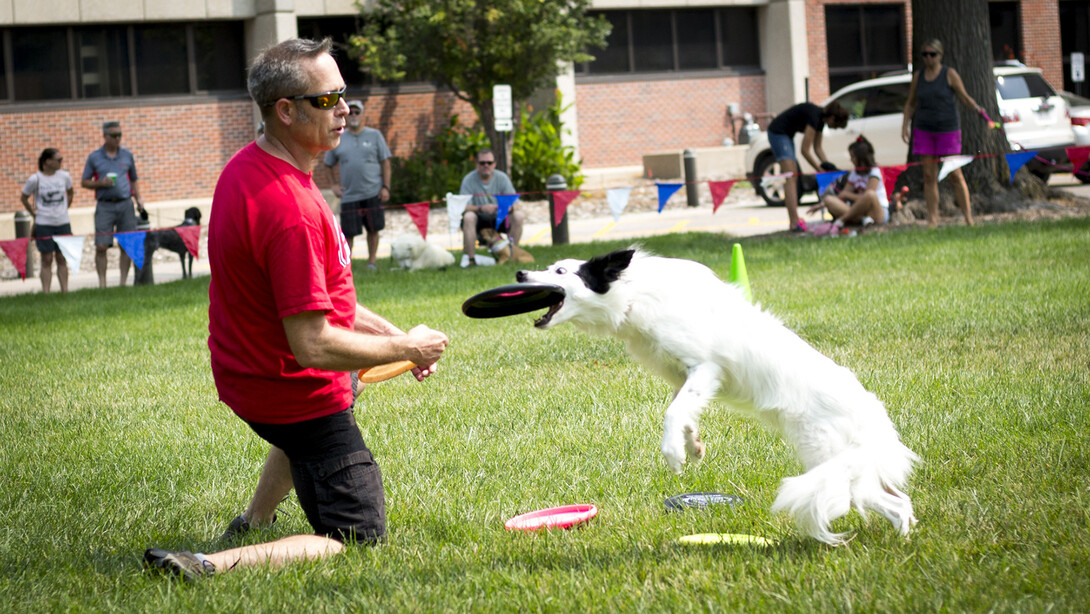 A man throws a flying disc to Micco, a dog performer with the Kansas City Disc Dogs, during the 2018 Husker DogFest.