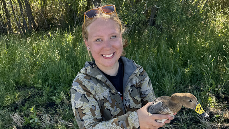 Ava Britton holds a duck to which she attached a nose tracking device.