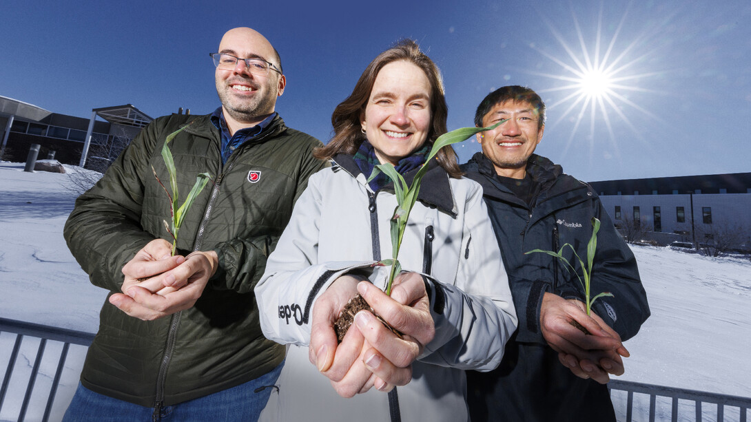 James Schnable, Rebecca Roston and Toshihiro Obata hold young sorghum plants outside of the Bioscience Greenhouses on City Campus.