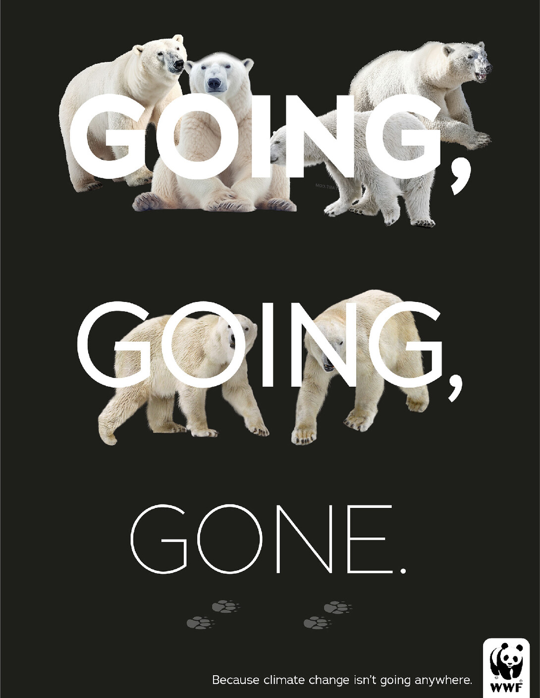 Four polar bears, then two, then just pawprints, with the words "Going. Going. Gone."