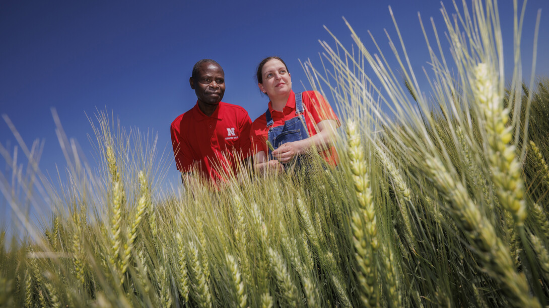 Stephen Wegulo and Katherine Frels stand in a wheat field.