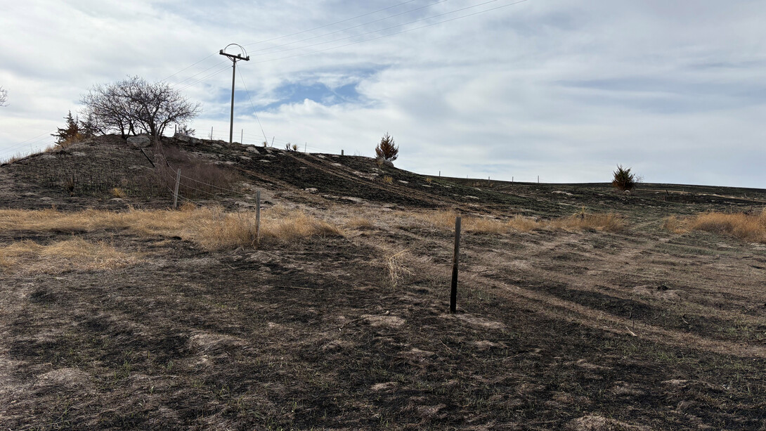 A power line is seen running through a scorched field on a cloudy day.