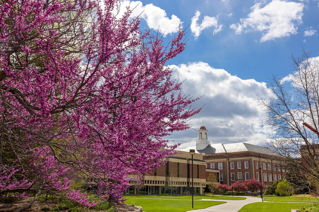 Love Library is framed by blooming spring trees.