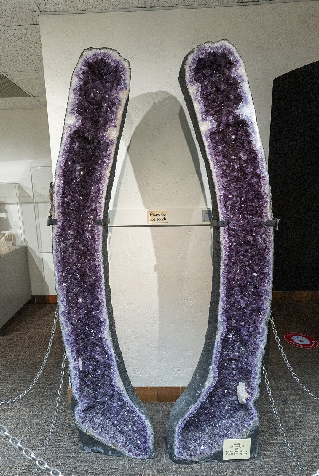 800-pound amethyst geode