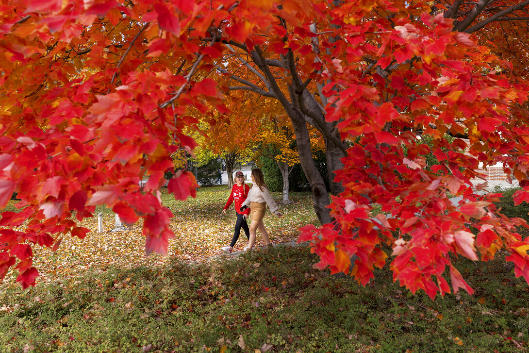 Two walkers are framed by red fall leaves