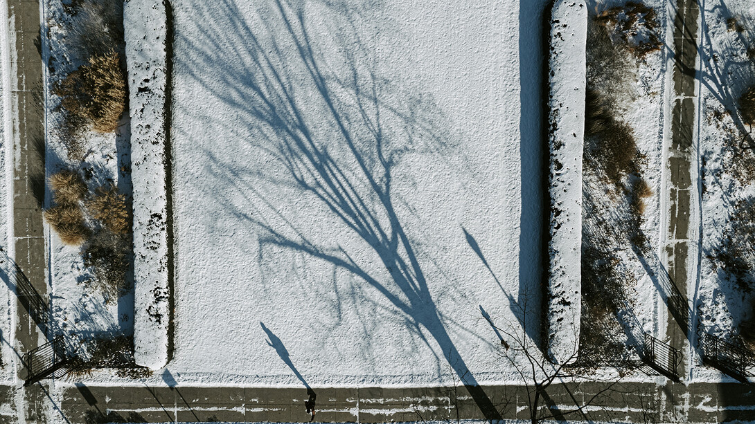 A Husker strolls across City Campus on Jan. 3, checking their phone as the early-morning sun casts a shadow across the lawn on the south of Love Library.