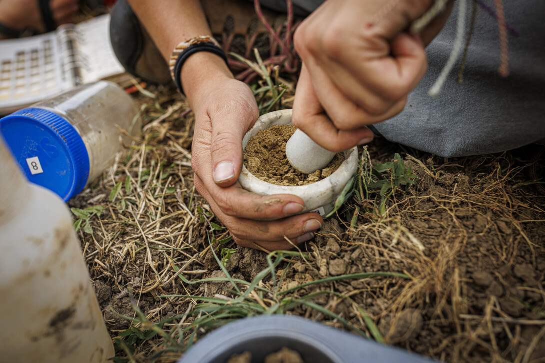 A student sifts through a soil sample in the soil judging pit on East Campus.