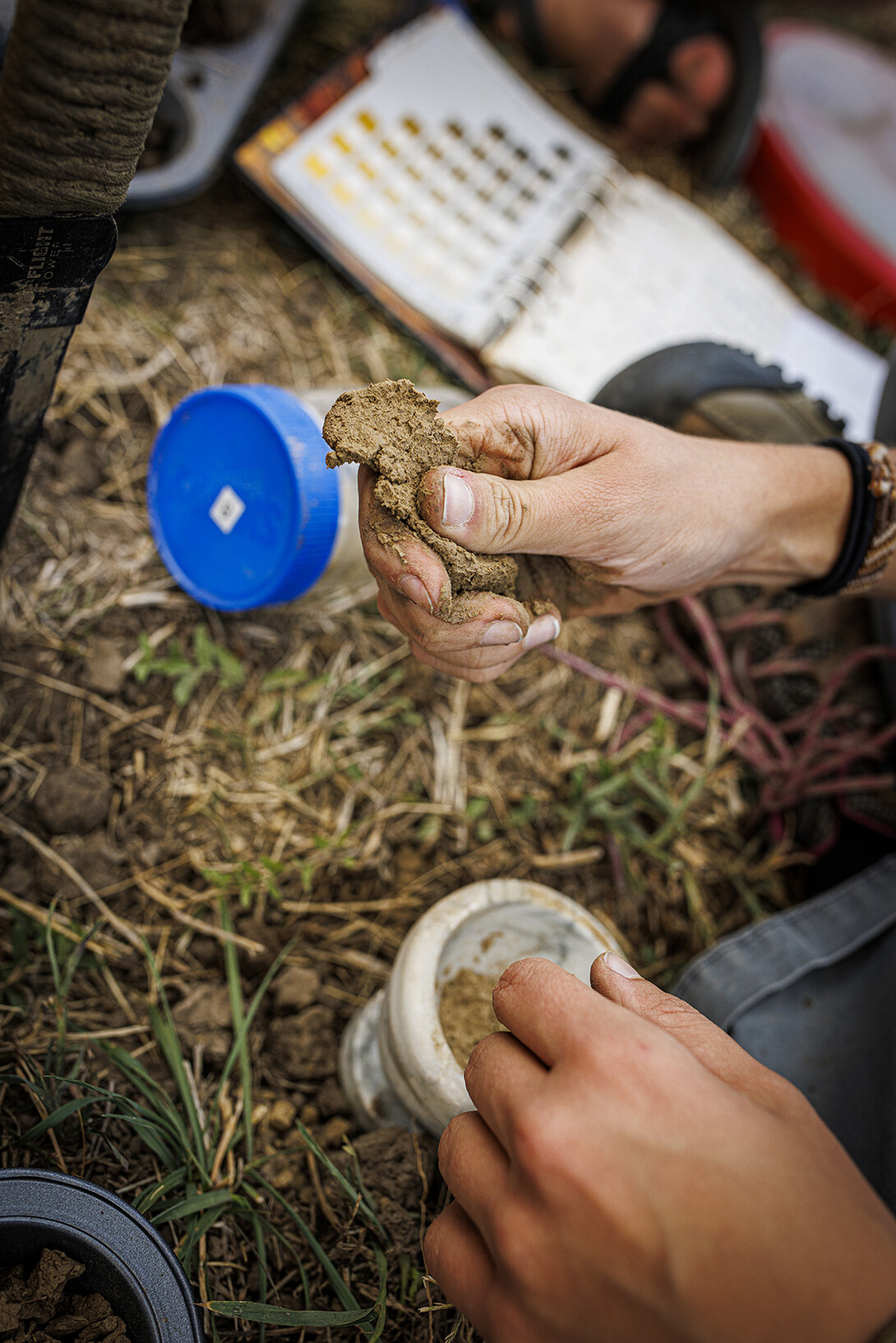 Kennadi Griffis critiques a ribbon of soil—where water is added to a ball of soil and then pressed between two fingers to form a ribbon—as part of her class assignment.  Ribboning helps determine the composition of the soil. 