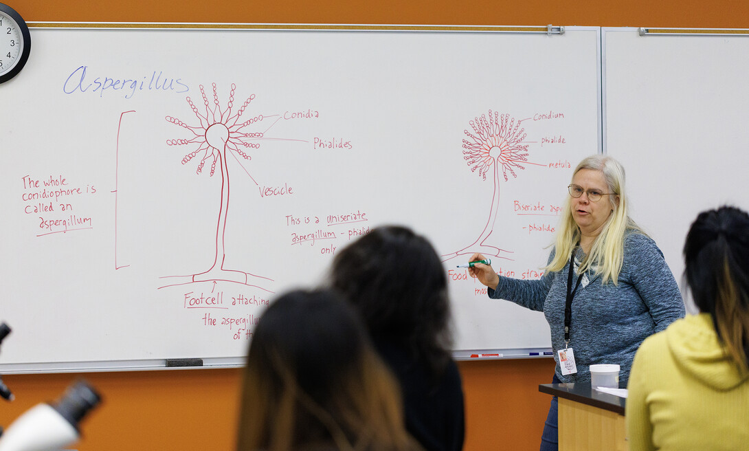 Heather Hallen-Adams explains the parts of Asperigillus fungi.