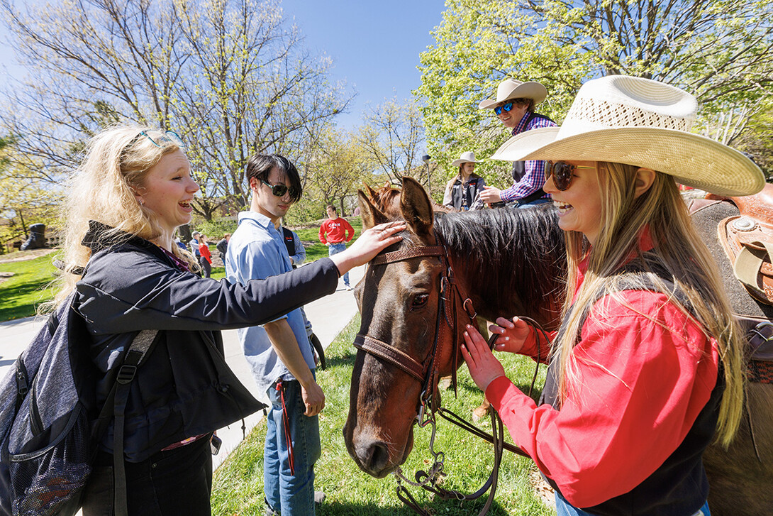 Seven horses and multiple club members were on city campus for students to meet, get close to and have their photos taken.