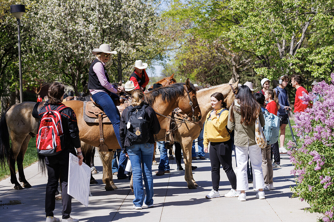 Students gather around rodeo club members and their horses on City Campus May 1.