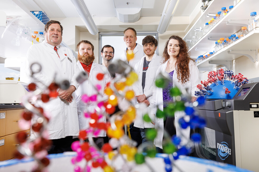 A team led by Eric Weaver, associate professor of biological sciences, has developed a robust vaccine against a strain of swine influenza. Framed by a model of nucleic acid proteins is (from left) Weaver; Matt Pekarek, a graduate student in the Weaver Lab; Cedric Wooledge, a technician with the Institutional Animal Care Program; David Steffen, with the Nebraska Veterinary Diagnostic Center; and Nicholas Jeanjaquet and Erika Petro-Turnquist, both doctoral students in the Weaver Lab. Not pictured