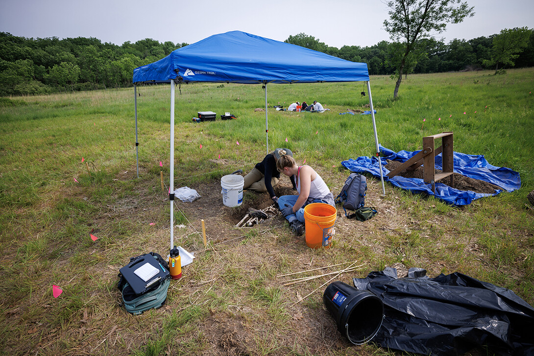 Two groups of students excavate a plastic skeleton representing a apparent crime victim at a forensic anthropology site.