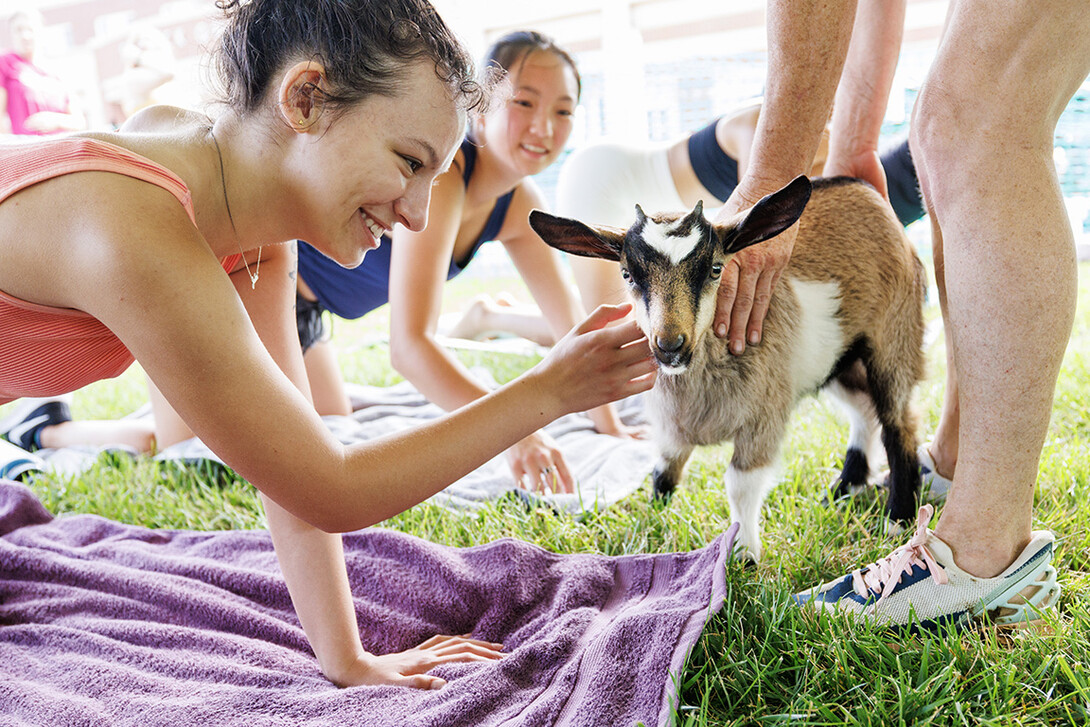 Rose Padios, a freshman from Omaha, pets a goat kid during goat yoga session.