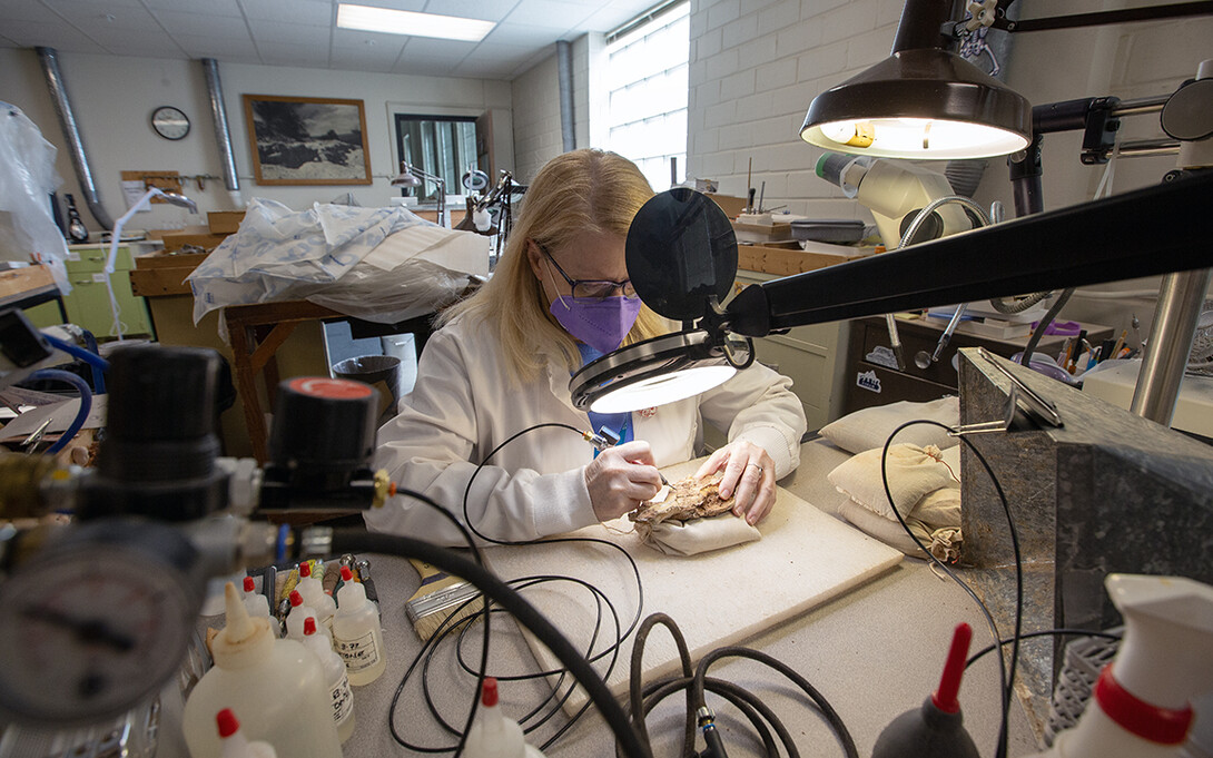 Carrie Herbel removing sediment from a fossil in a Nebraska Hall lab.