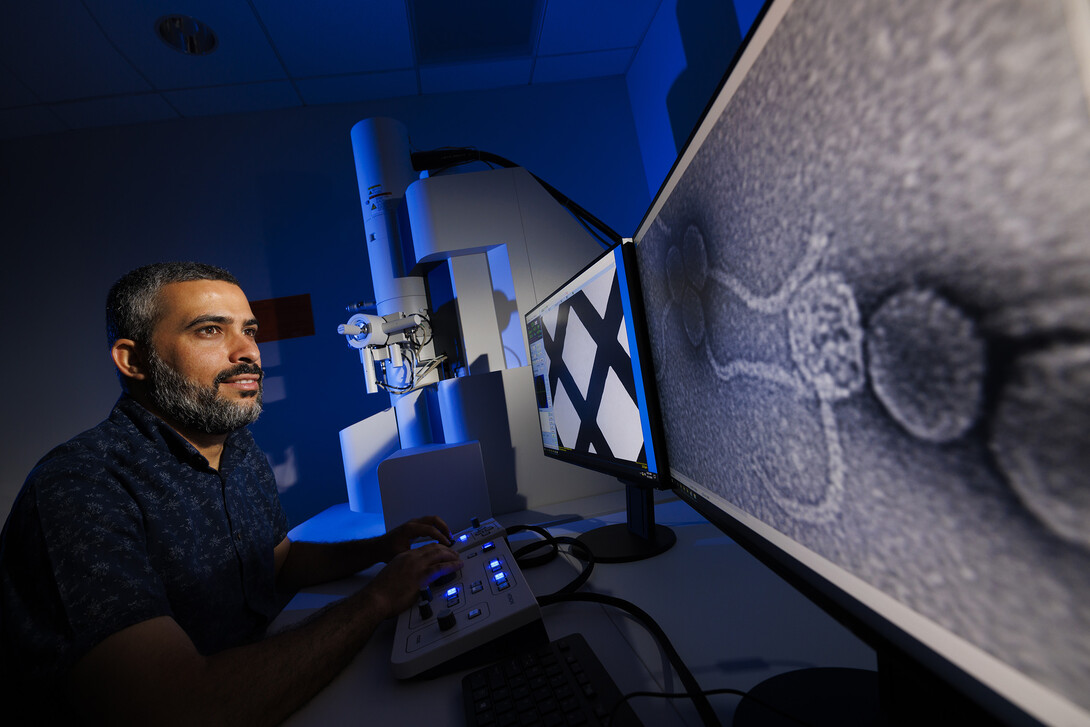 ara Altartouri, a post-doc research associate in the Center for Biotchnology, looks over an image of a bacteriophage, viruses that infect and replicate only in bacterial cells, imaged at 100,000X magnification from the center’s Hitachi HT7800 transmission electron microscope. The Morrison Microscopy Core Research Facility.