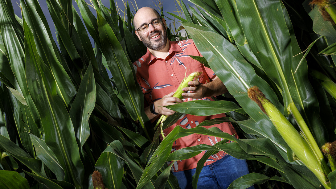 Nebraska's James Schnable standing among corn stalks.