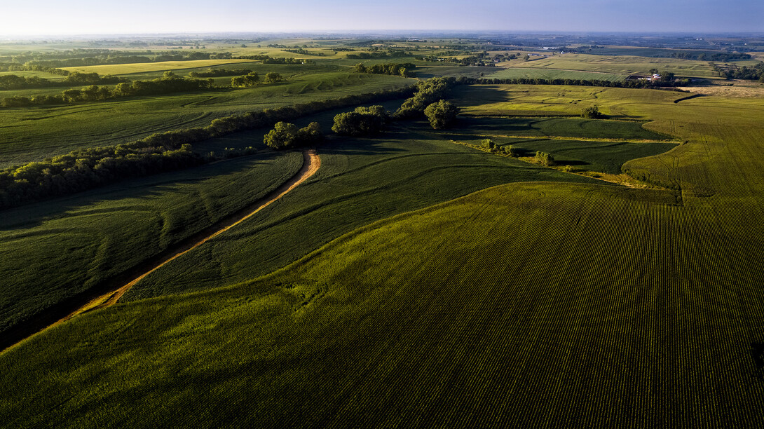 Aerial views of soybean and corn fields in southeast Lancaster County.