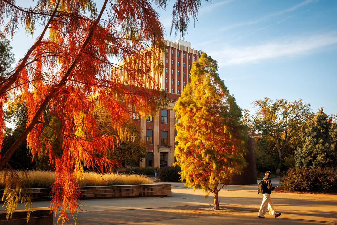 Red and orange leaves on tree branches frame the brick buildings, Burnett and Oldfather halls on campus.